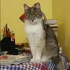 Отзыв от Карина Шестакова